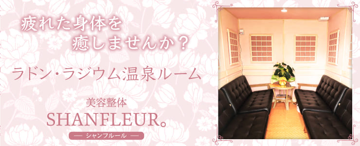 シャンフルールパソコン用の画像